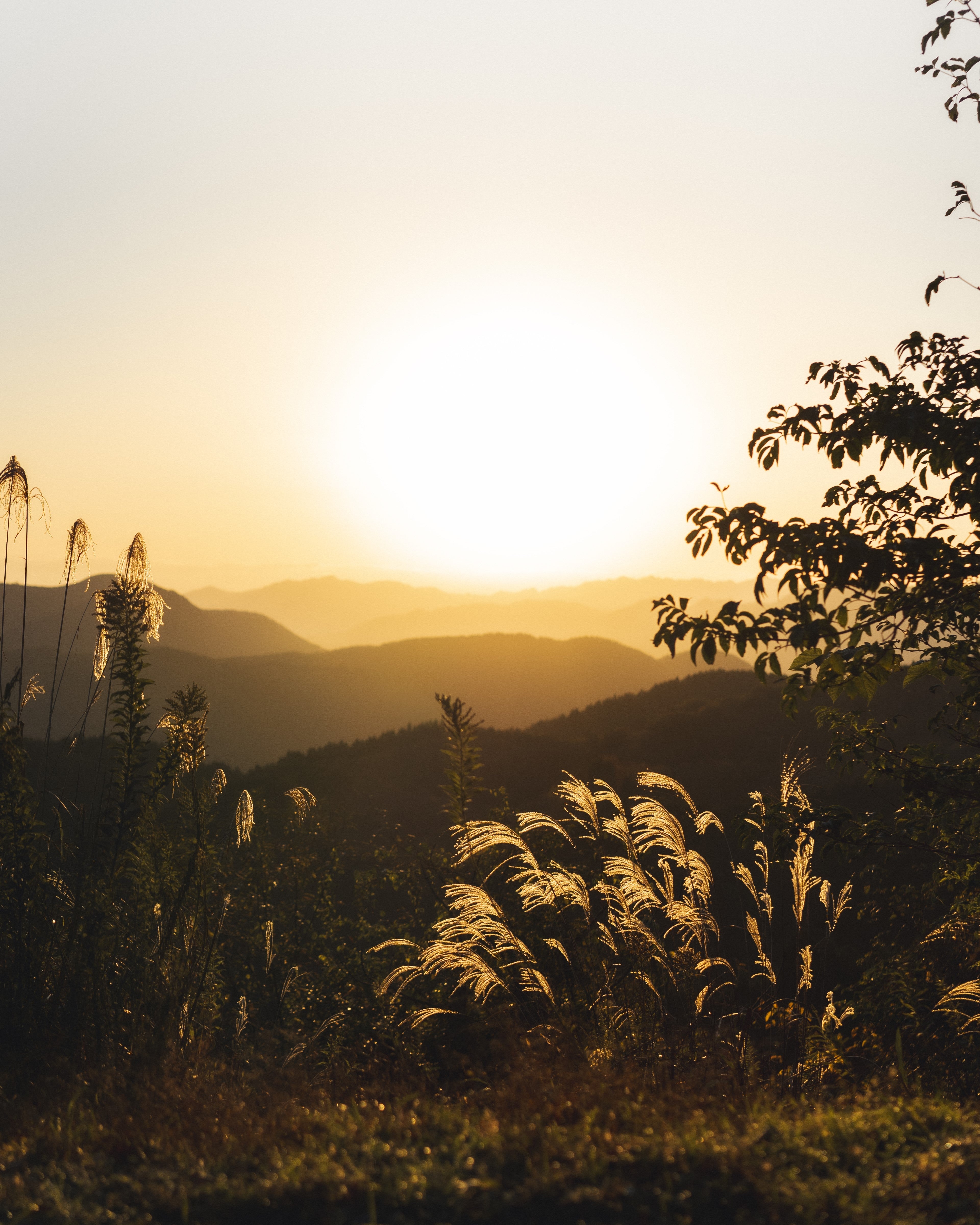 TaG.(タグ)ができるまで